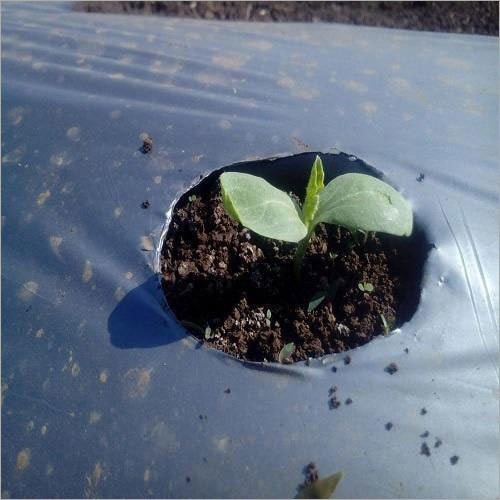 Industrial Agro Mulching Film