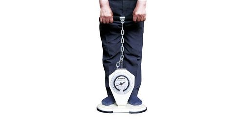 Mild Steel Saehan Back - Leg - Chest Dynamometer