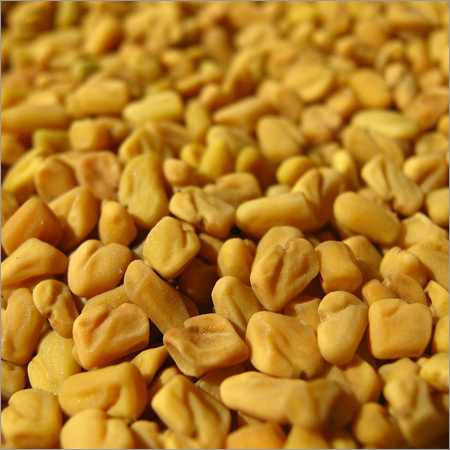 Fenugreek Methi Seeds