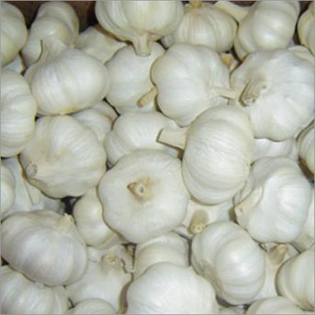 White Garlic