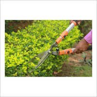 Hedge Shears