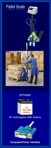 Pallet Scale