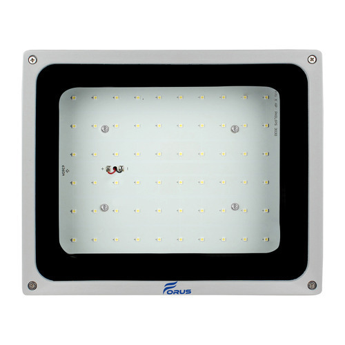 LED Flood Light