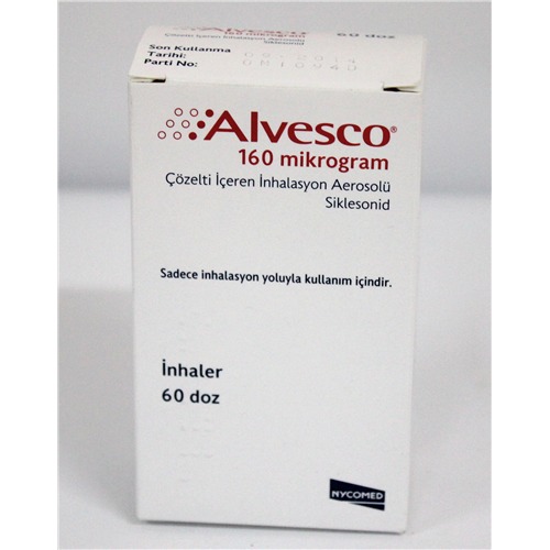 Alvesco Inhalation Aerosol 80 Mcg And 160 Mcg At Best Price In Istanbul ...