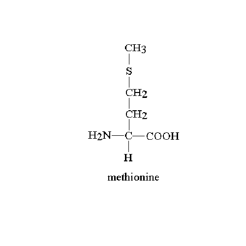 Amino Acid 43% (Plant Origin)
