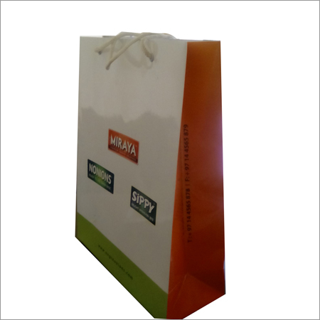 Garment Store Paper Bags