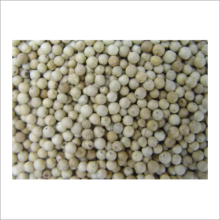 White Pepper White Pepper