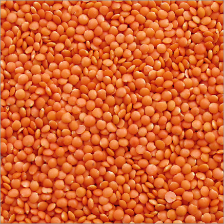 Masoor Dal