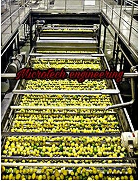 AMLA SORTING CONVEYOR