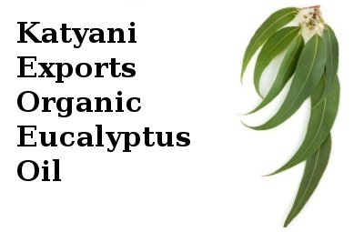 Organic Eucalyptus Oil