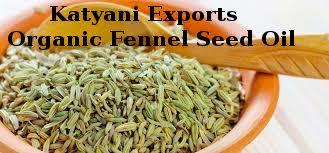 Organic Fennel Seed Oil - Pure Steam Distilled Oil from Crushed Seeds | Digestive Aid, Soothes Bowel Movements, Calms Minor Skin Irritation, Antioxidant and Antimicrobial Properties