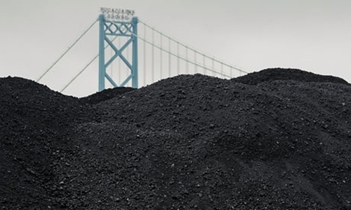 Pet Coke