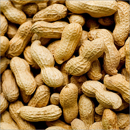 Whole Groundnut Whole Groundnut