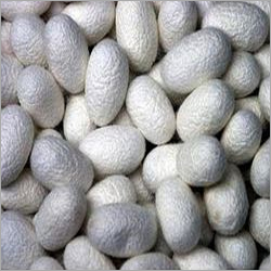 Peptones Fermentation - Application: Industrial