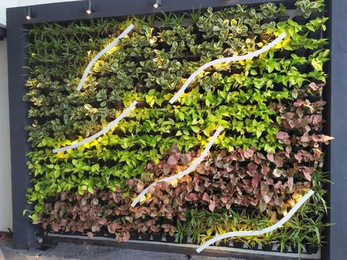 Plastic Coated Vertical Indoor Gardening