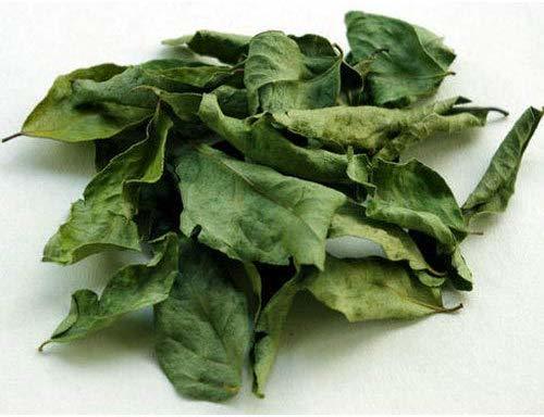 Dehydrated Curry Leaves Dehydrated Curry Leaves