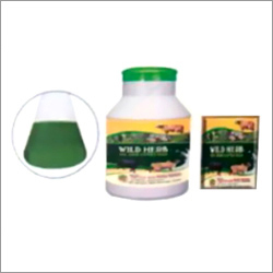 Wild Herb - Cattle Feed Tonic