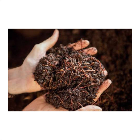 Vermicompost