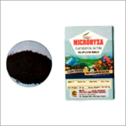 Microryza