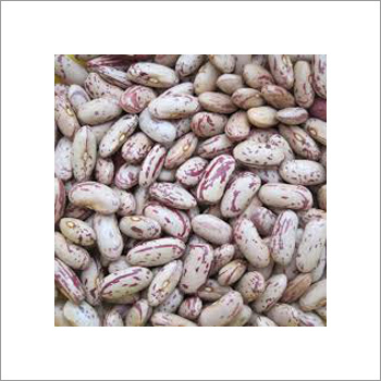 Speckled kidney Beans
