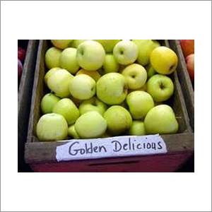 Golden Delicious Apple