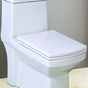 Ceramic One Piece Toilet