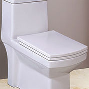 Ceramic One Piece Toilet