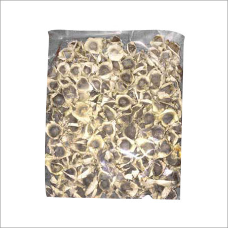 Moringa Seeds