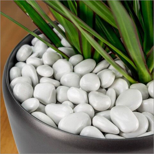 Polished Pebble