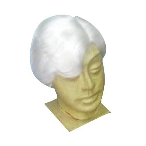 Human Hair Wigs