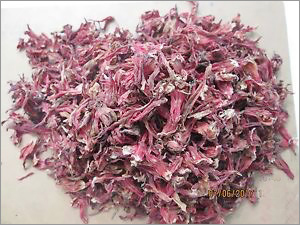 Hibiscus Flower Calyces