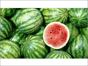 Watermelon