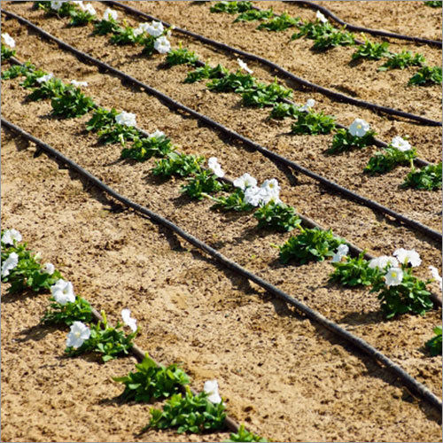 Drip Irrigation System