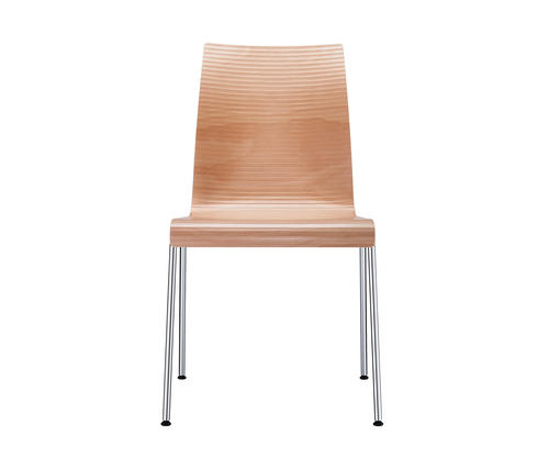 Prime Chair - Stainless Steel Legs, Modern Design, Non-Foldable Furniture