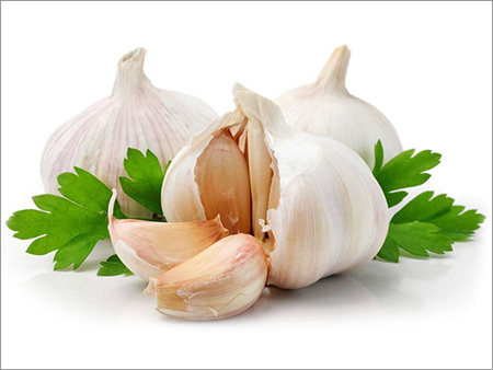White Garlic