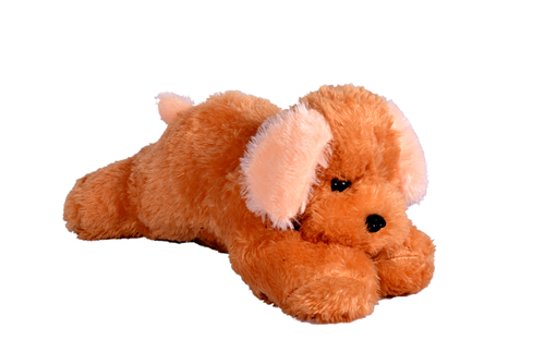 Dog Plush Toy
