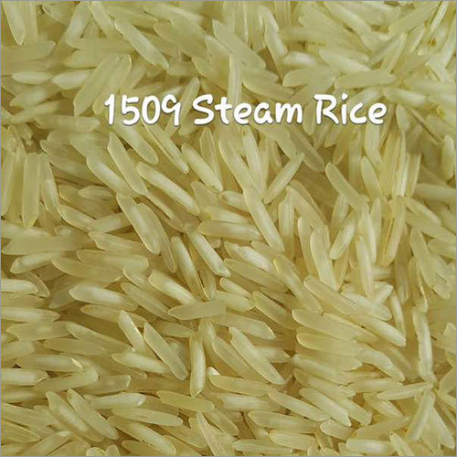 1509 Steam Rice