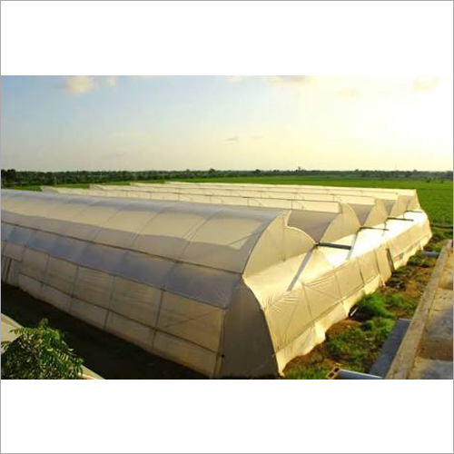 Poly Greenhouse Poly Greenhouse