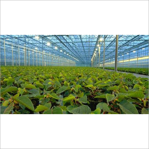 UV Resistant Poly Greenhouse