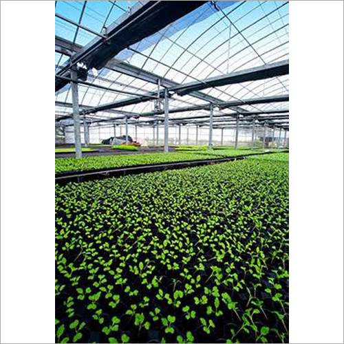Ventilated Poly Greenhouse