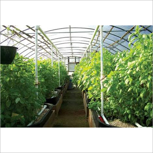 Agriculture Poly Greenhouse