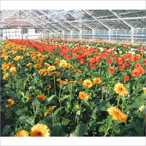 Garden Poly Greenhouse