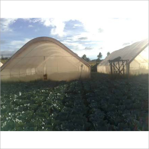 Natural Ventilation Greenhouse