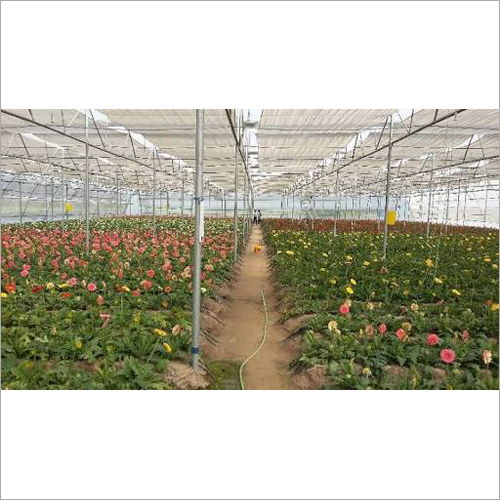 Nursery Poly Greenhouse Nursery Poly Greenhouse