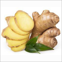 Ginger