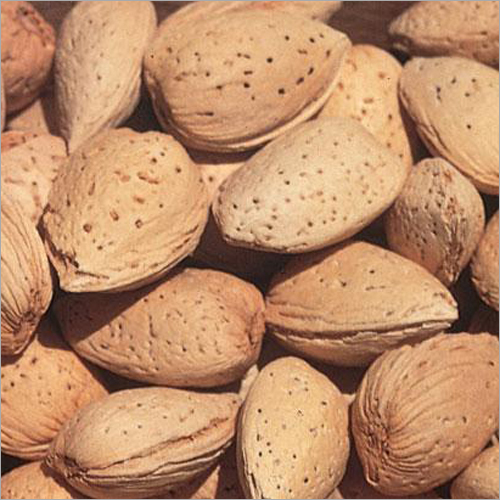 Almonds Seeds