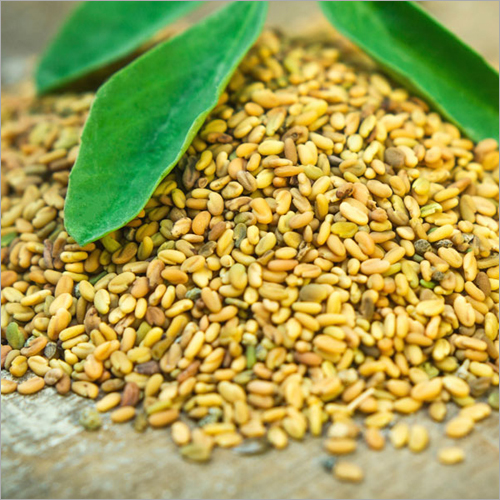 Fenugreek Seeds