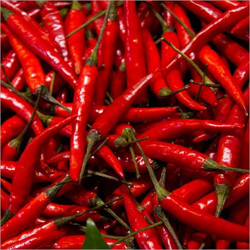 Red Chilli