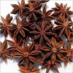 Starnise
