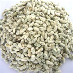 Cotton Seeds
